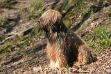 BRIARD 024